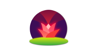 DoH on macOS with dnscrypt-proxy